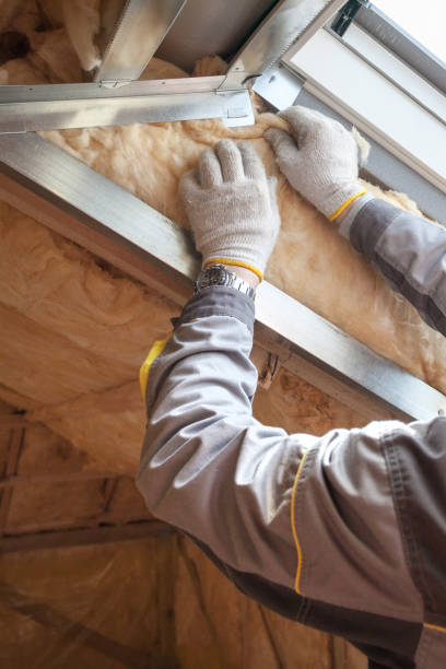 Best Insulation Maintenance and Repair in Armada, MI