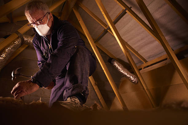 Best Residential Insulation in Armada, MI